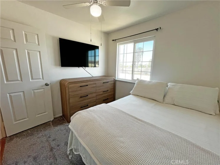 24109 Fir photo 24