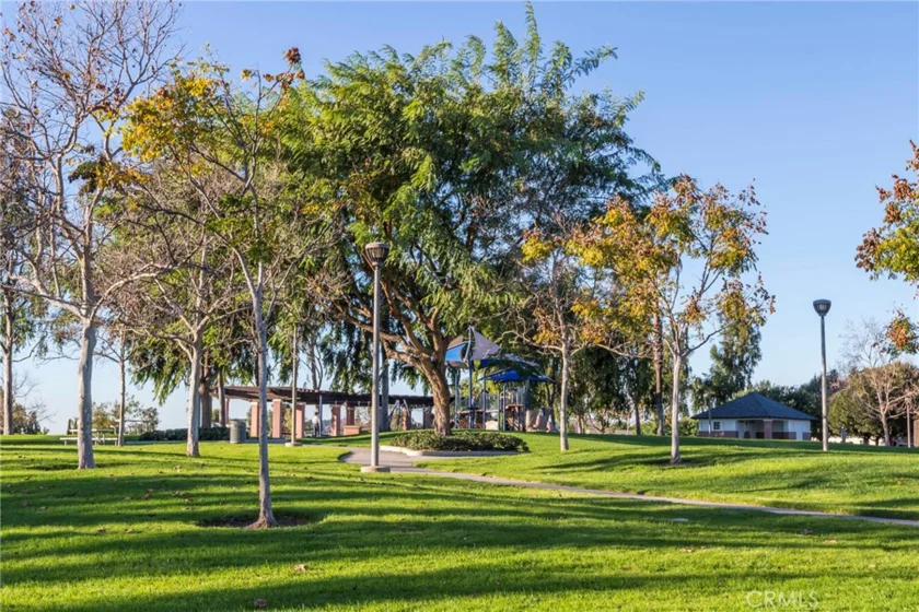 329 Rathbourne photo 38