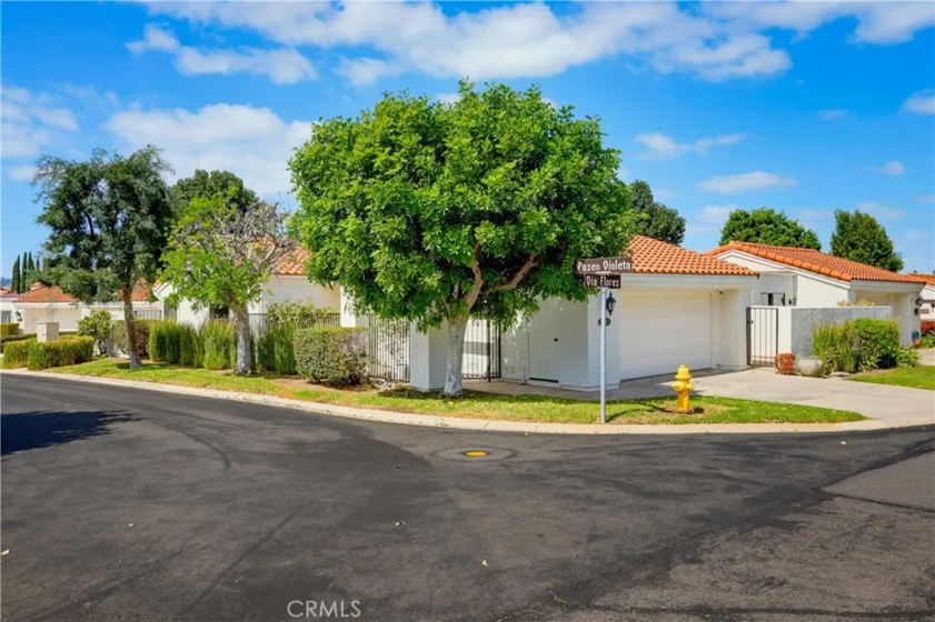 31911 Via Flores #27 photo 59