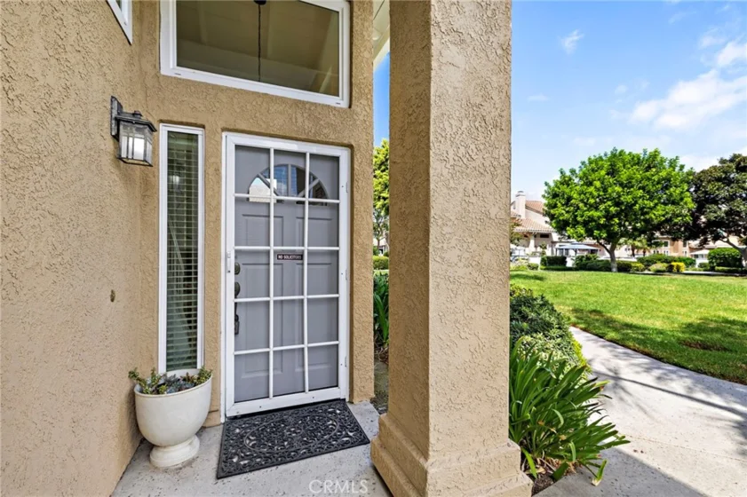 26907 Begonia photo 13