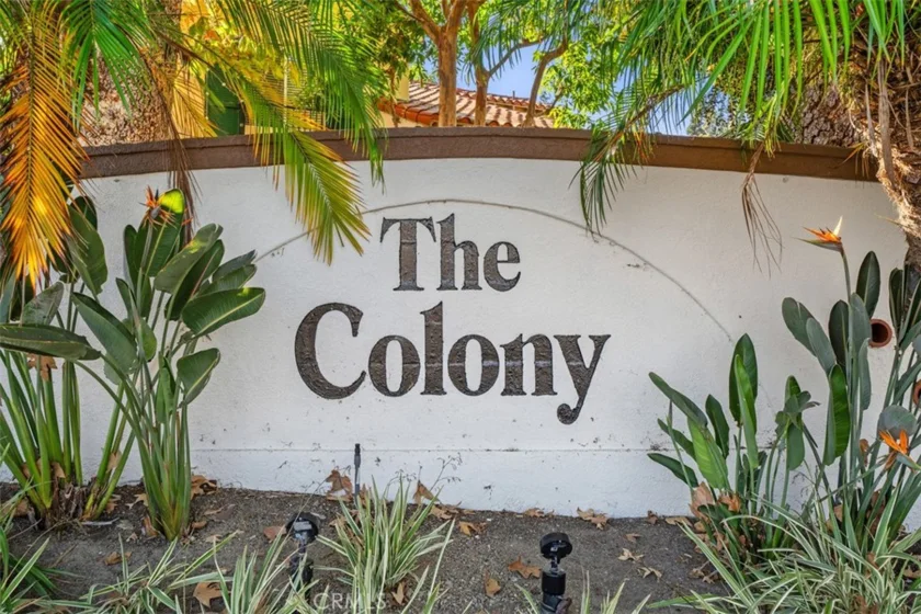 59 Colony photo 30