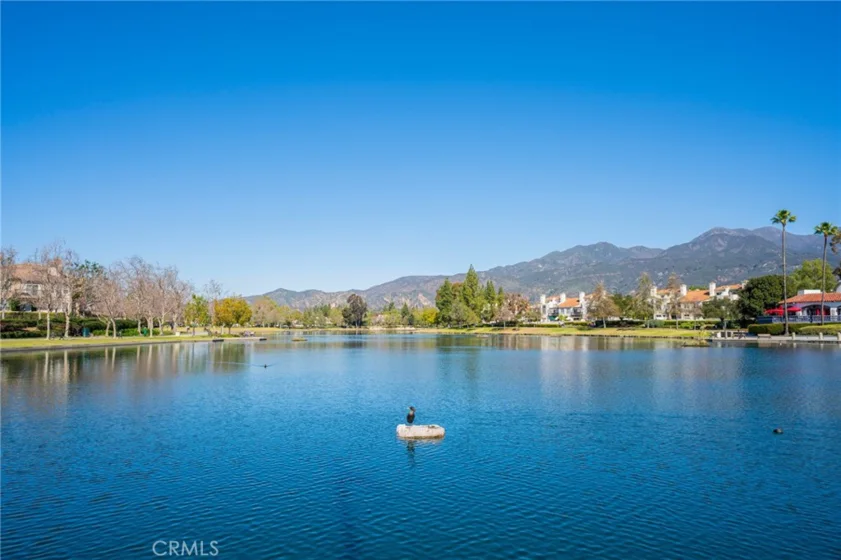 38 Carnation photo 43