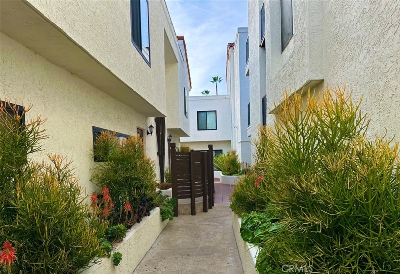 3525 Lebon Drive #204 photo 13