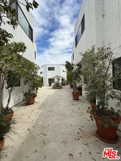 2500 Abbot Kinney Boulevard #6 photo 52