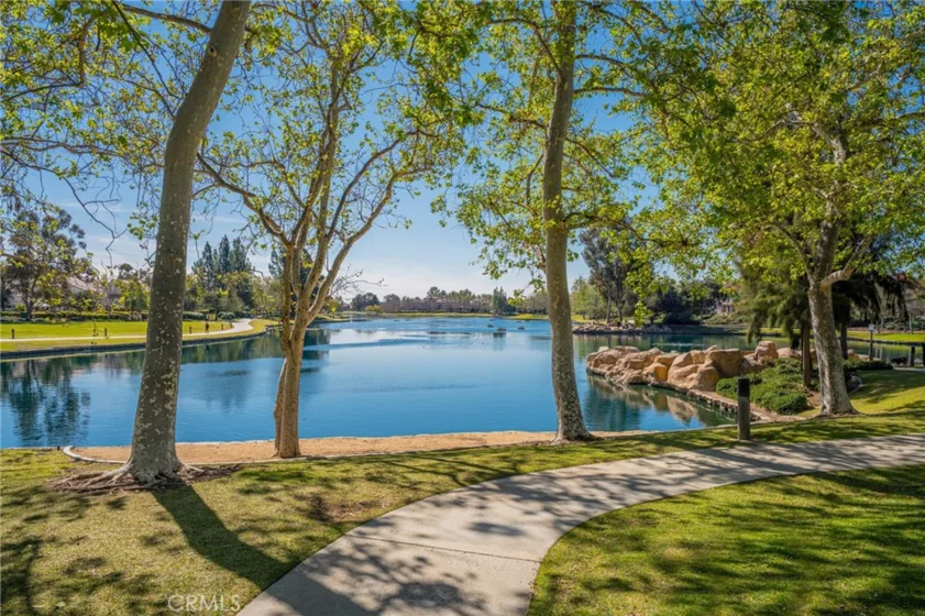 38 Carnation photo 41