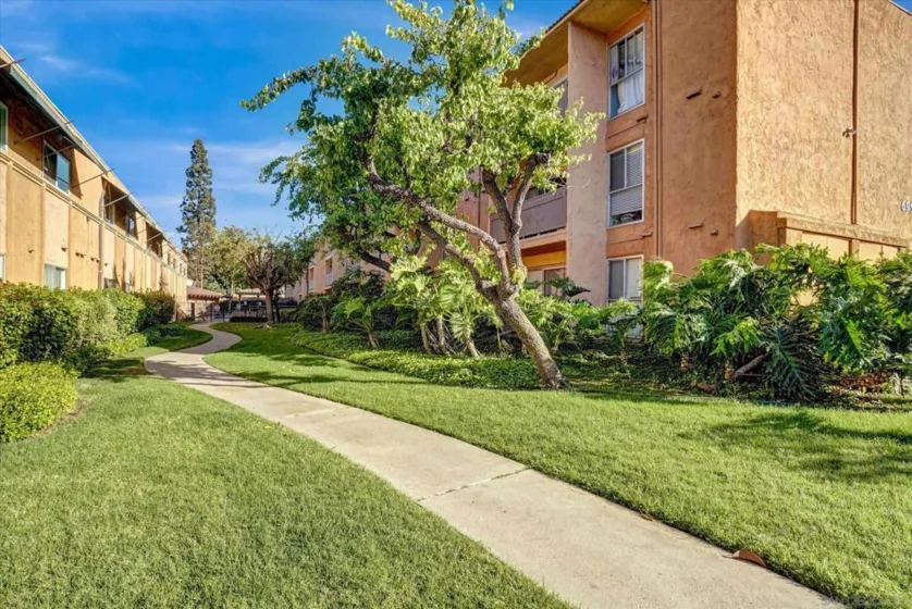 6955 Alvarado #61 photo 20