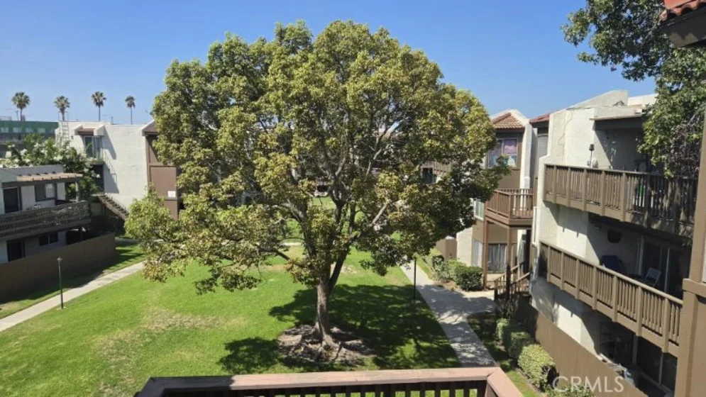 1196 S Citron photo 10