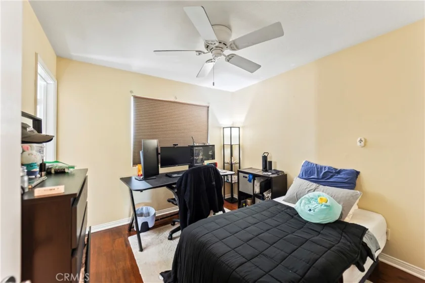 1123 Abelia photo 39