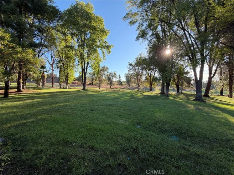 38974 Paseo De Oro photo 11