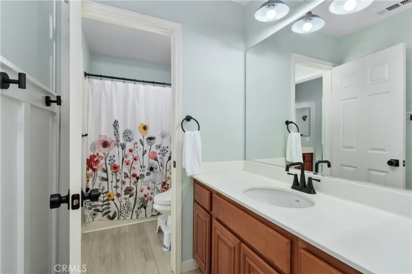 27098 Tube Rose Street photo 29