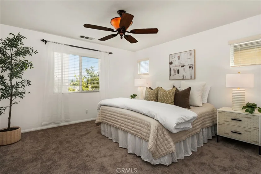 140 W Cork Tree photo 21