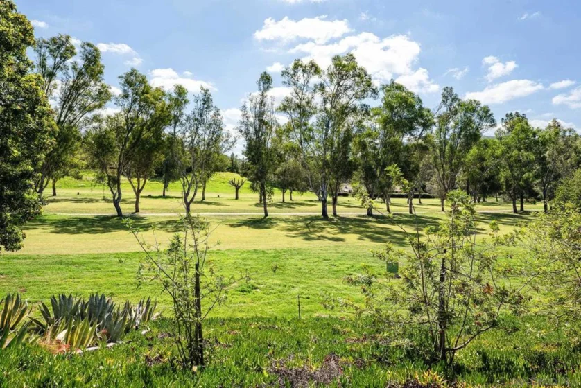 8647 Circle R Valley photo 29
