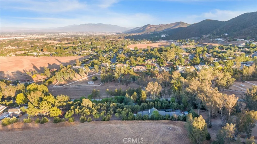 42761 Juniper photo 70