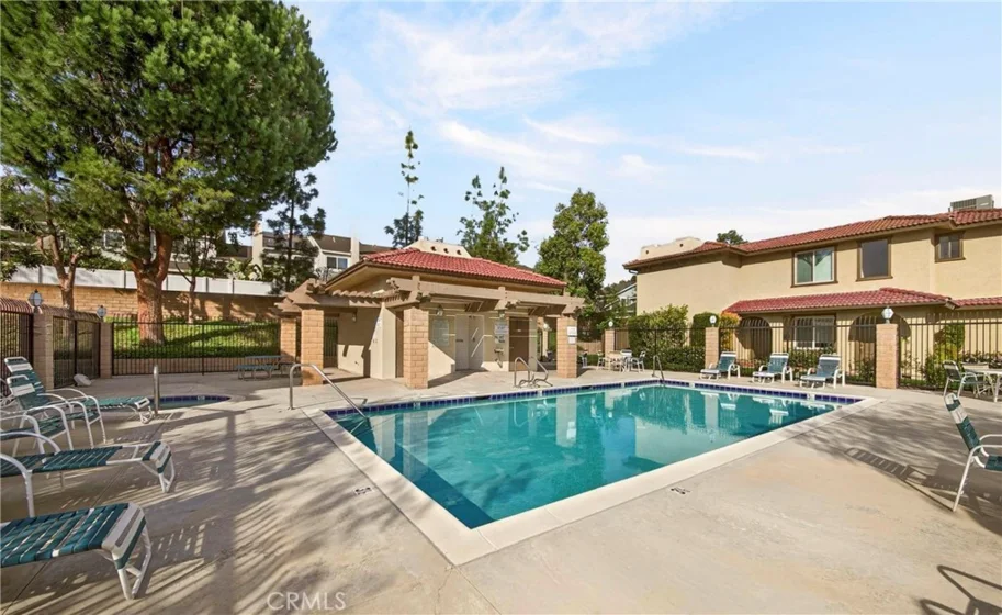 25261 Tanoak photo 39