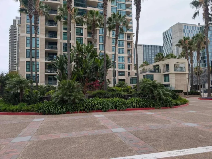 1205 Pacific Highway #2504 photo 11