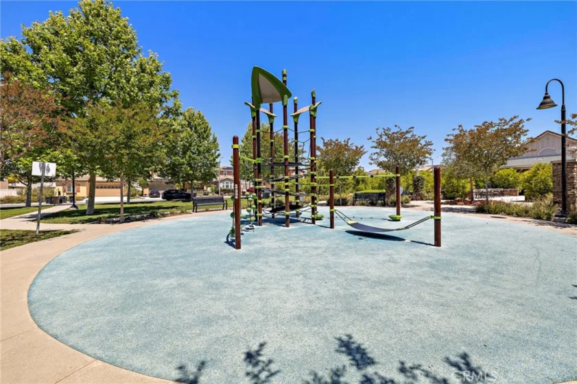 41461 Winterberry photo 40