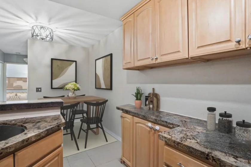 11115 Affinity Court #3 photo 14