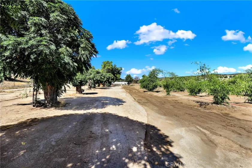 39145 Calle Cordova photo 11