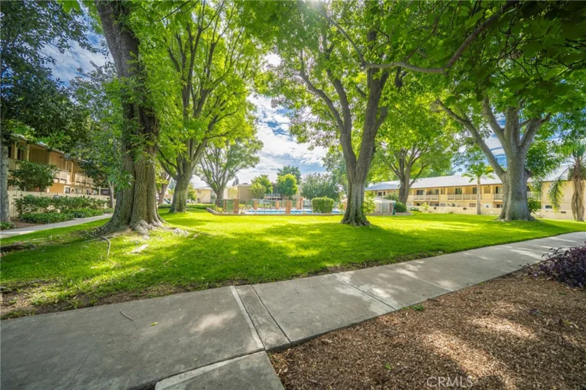 8120 Canby Ave #6 photo 10