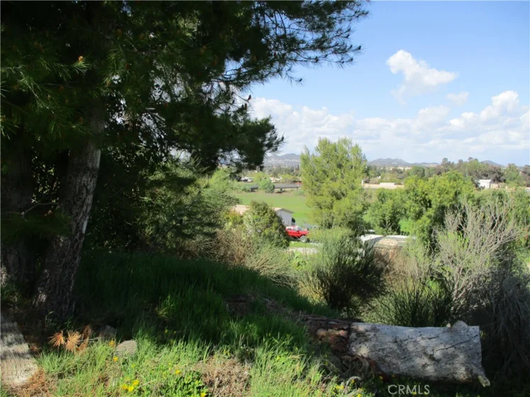 25070 Hayes Avenue photo 19
