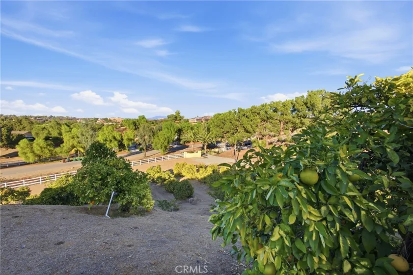 38311 Chaparral Drive photo 30