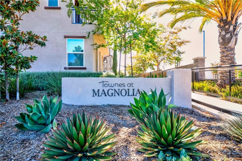 249 N Magnolia #3 photo 27