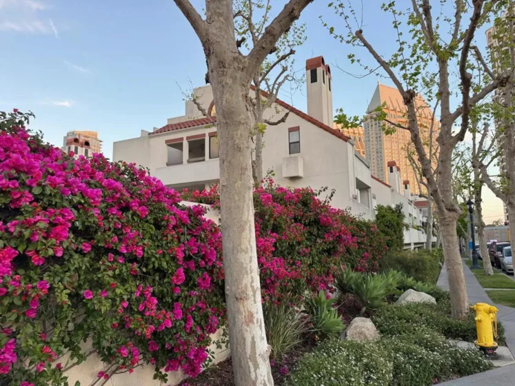 701 Kettner Boulevard #70 photo 29