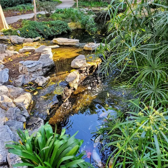 448 N Bellflower Boulevard #101 photo 3