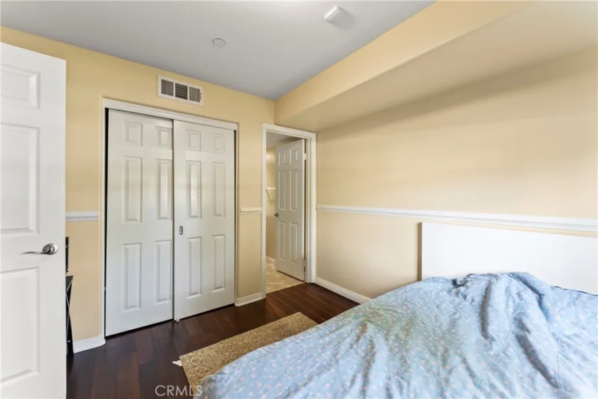 1123 Abelia photo 35