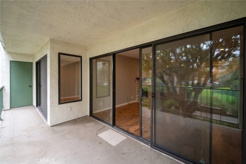 4114 Apricot photo 10