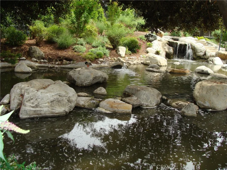 194 Streamwood photo 7
