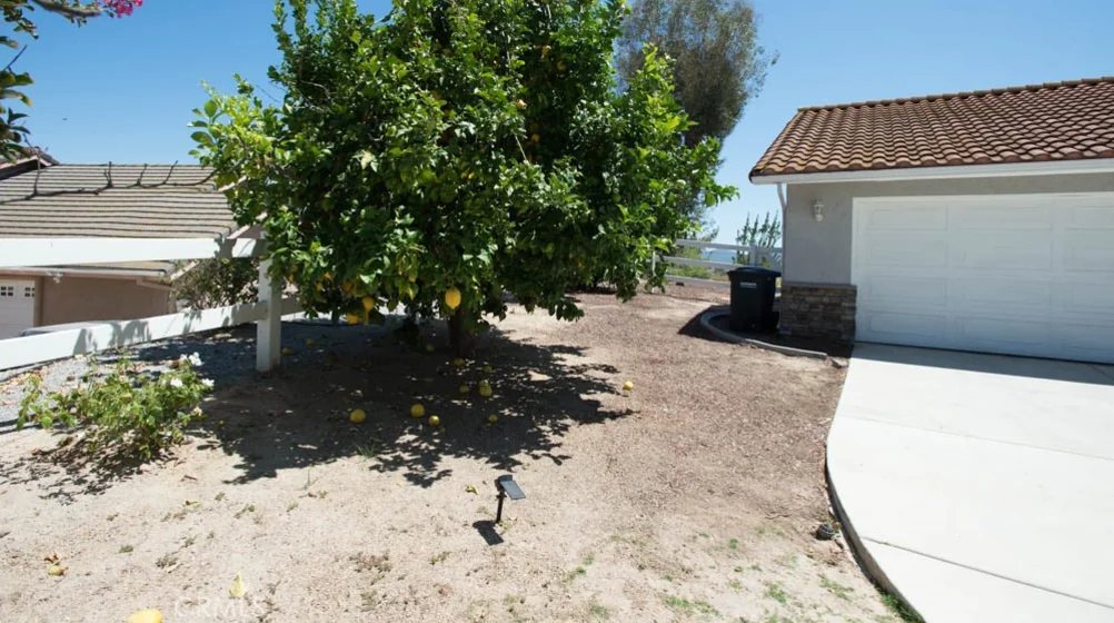 31201 Avenida Del Reposo photo 17