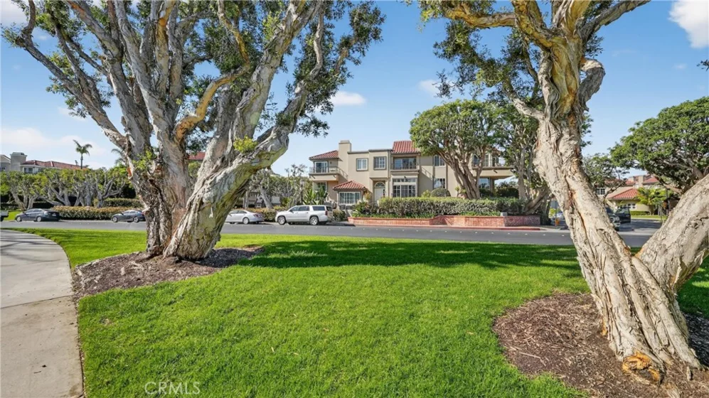 19282 Torreypines photo 9