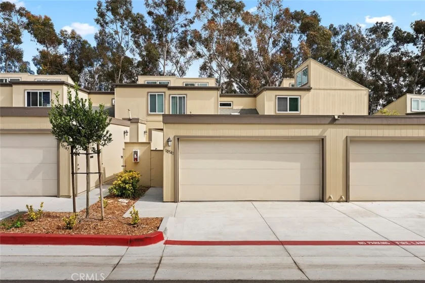 10541 Caminito Basswood photo 13