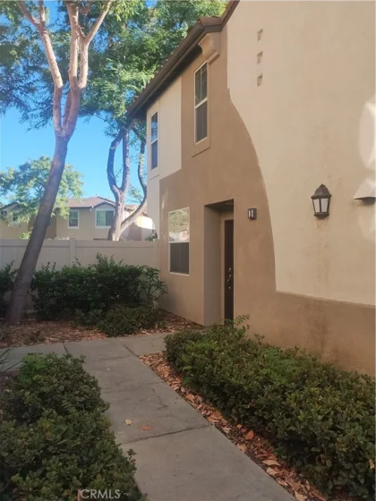 30407 Pelican photo 5