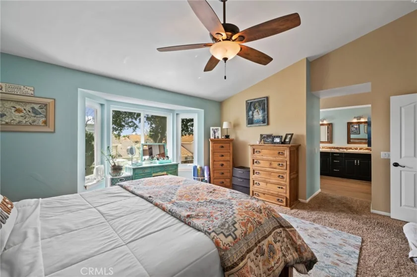 25401 Lacebark photo 30