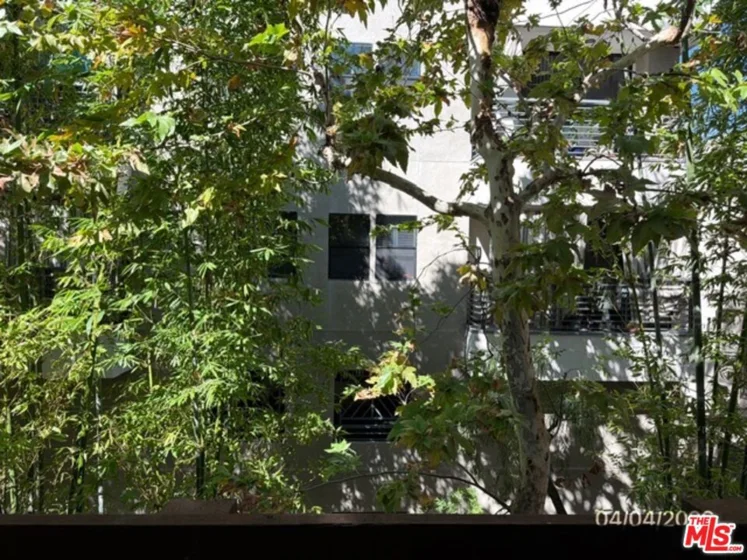 525 S Ardmore Avenue #242 photo 3