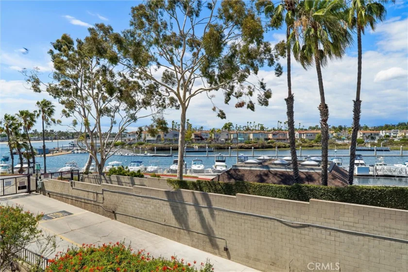 5203 S Marina Pacifica Drive photo 23