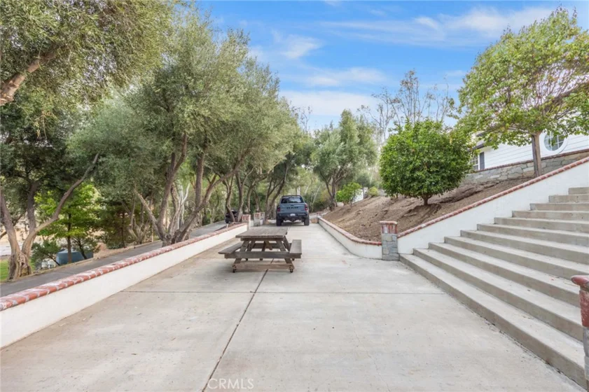 42761 Juniper photo 4