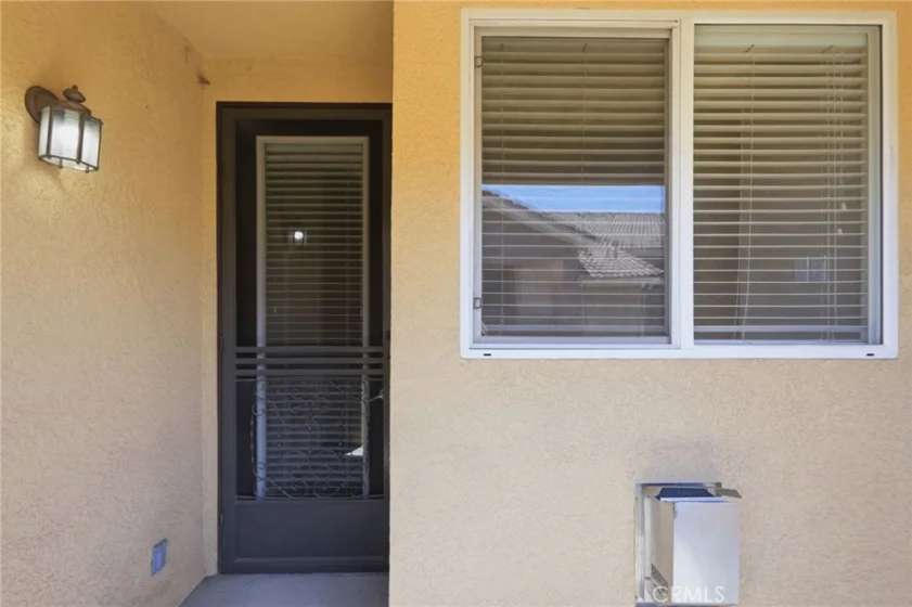 41410 Juniper photo 3