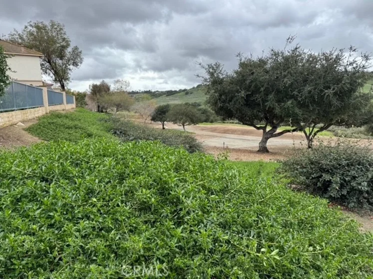 229 Seacountry photo 47