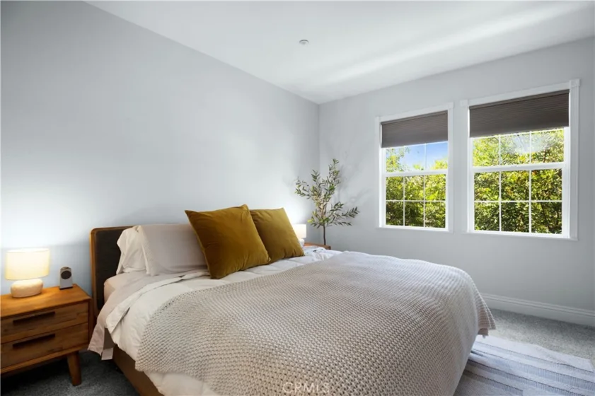 7 Herrick Street photo 7