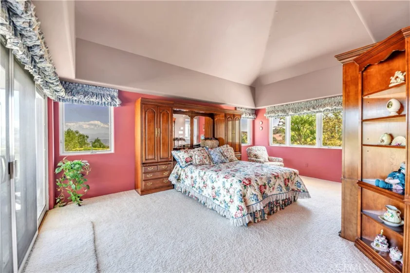 21410 Avenida De Arboles photo 47