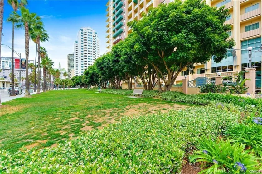 388 E Ocean Boulevard #1412 photo 17