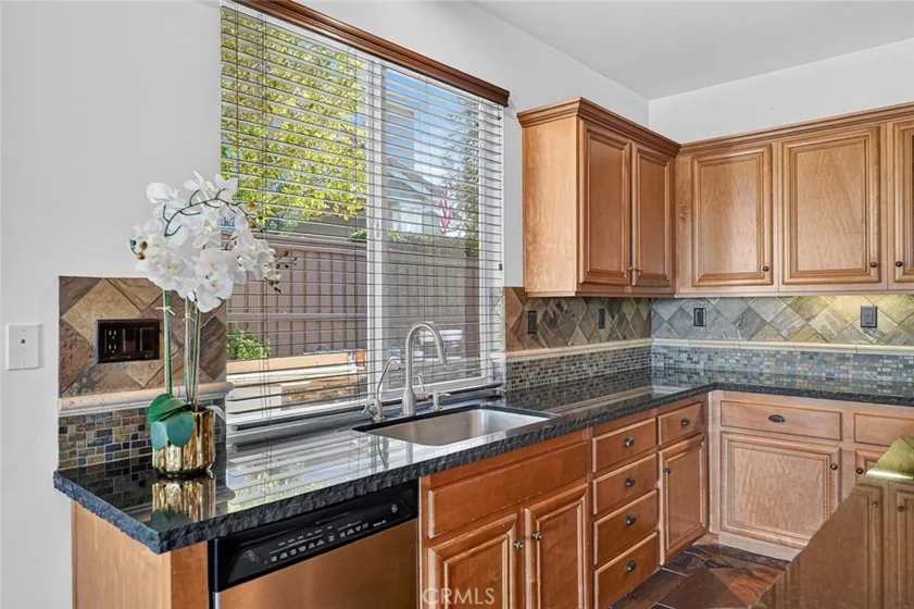 33320 Rhine photo 21