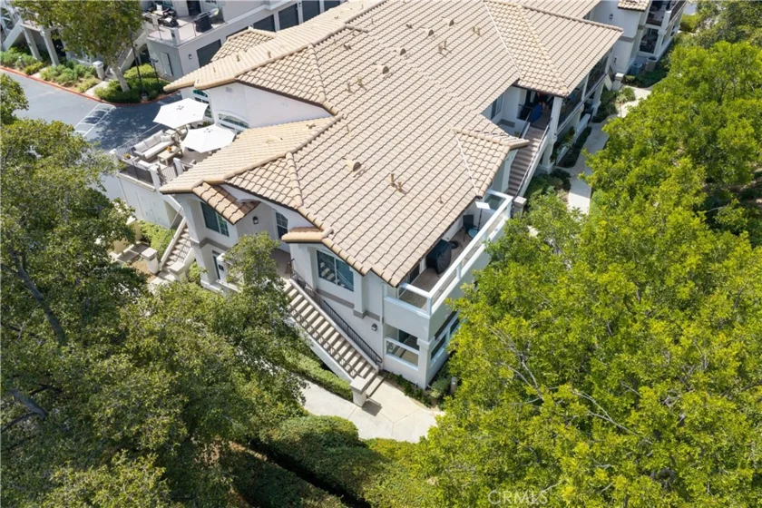 8 Dorado photo 3
