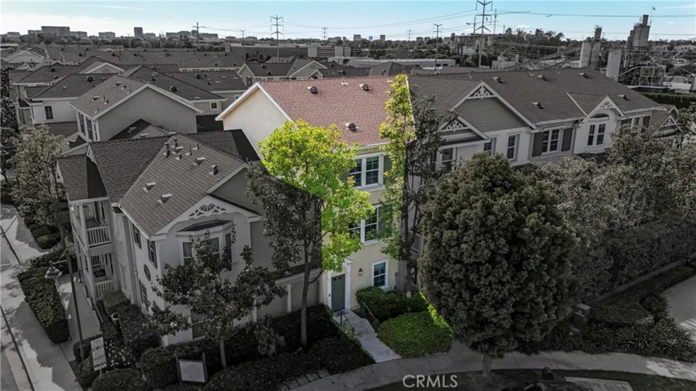 1123 Abelia photo 23