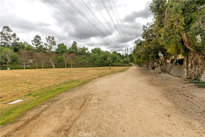 21605 Fernbrook photo 54