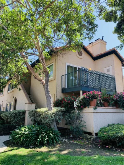 11235 Avenida De Los Lobos #C photo 1