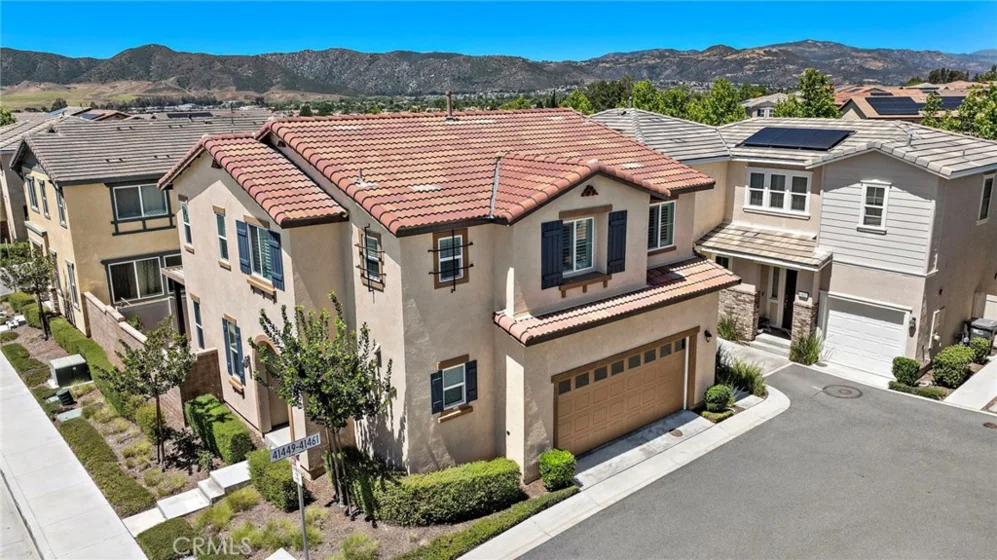 41461 Winterberry photo 1